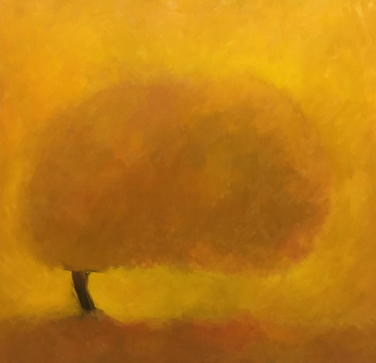 Ανάμεσα στον Ρόθκο και στον Μπουζιάνη: ένας ανατόμος των δέντρων στην Αίγινα-1