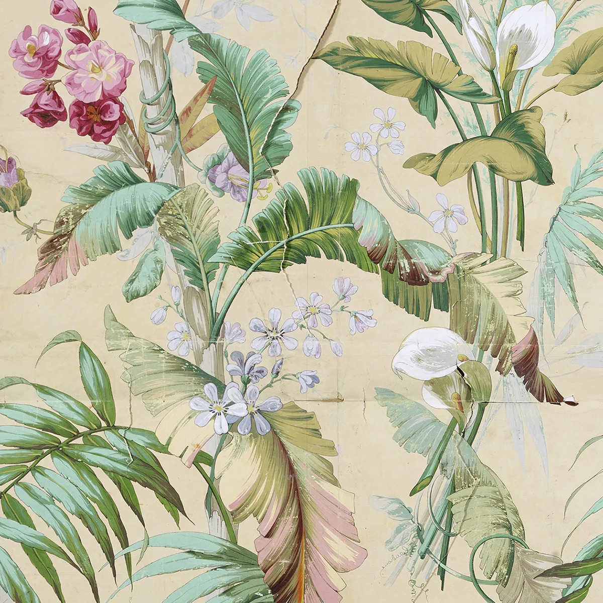 Το Μετροπόλιταν συντηρεί ένα αριστούργημα του Ρέμπραντ-2