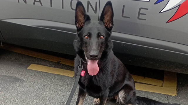 Ελληνική βοήθεια στην ασφάλεια των Αγώνων-2