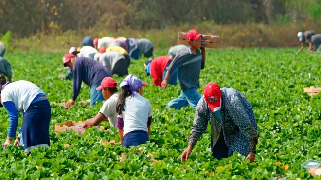 εκτίναξη-των-μεταναστευτικών-εμβασμ-563172400