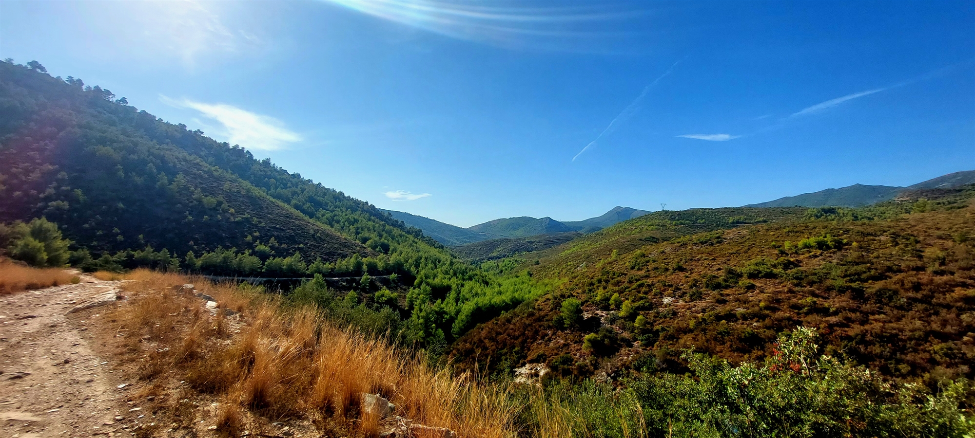 Ο χαμένος παράδεισος στα «πίσω δωμάτια» της Αττικής και η υπόσχεση για το μέλλον-2