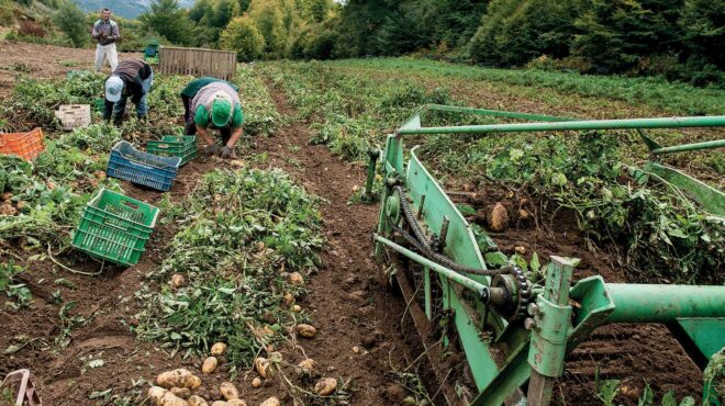 η-κλιματική-αλλαγή-πλήττει-την-αγροτι-563186245