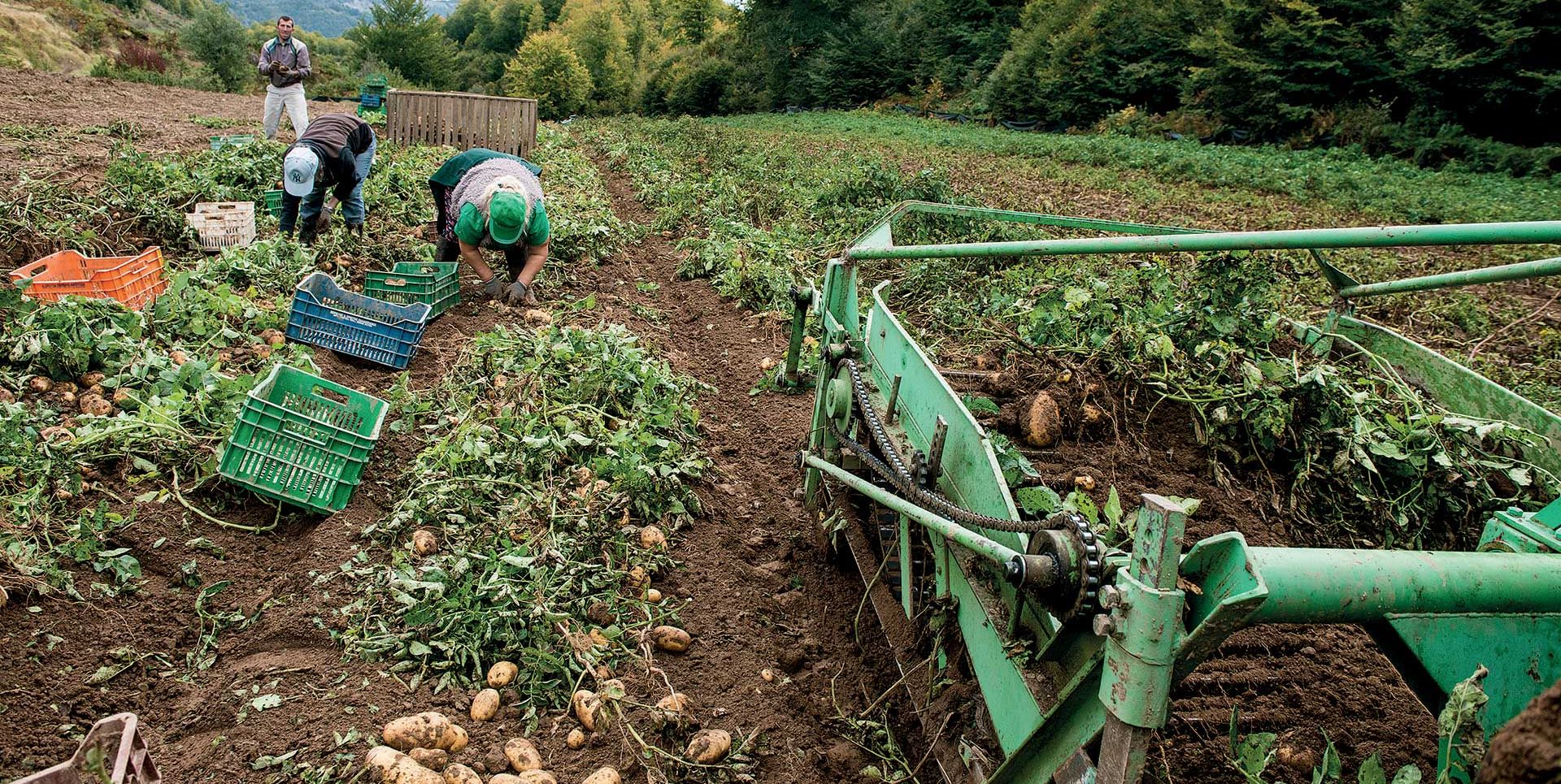 η-κλιματική-αλλαγή-πλήττει-την-αγροτι-563186245