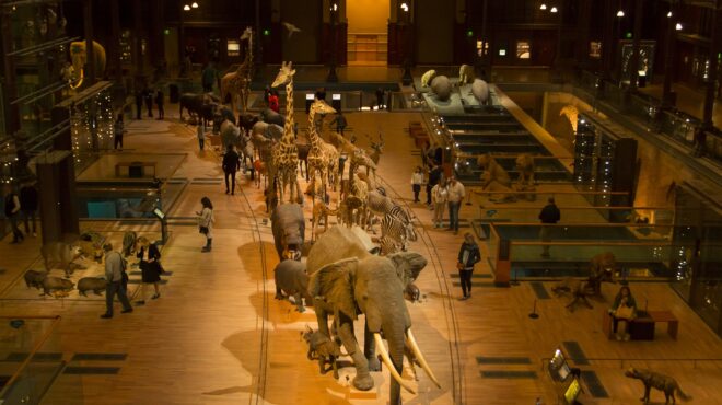 ο-δαρβίνος-ο-έρωτας-και-ο-θεός-563168050