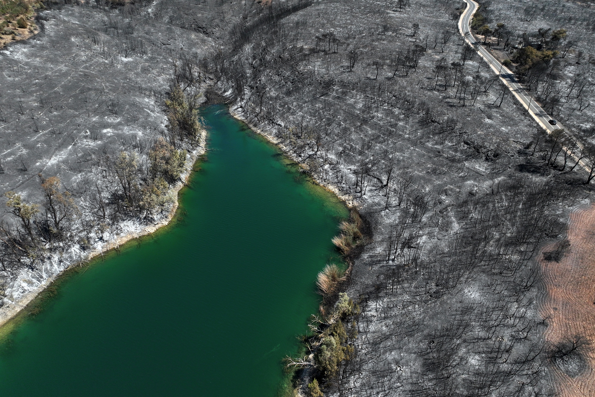 Σενάρια στις στάχτες-1