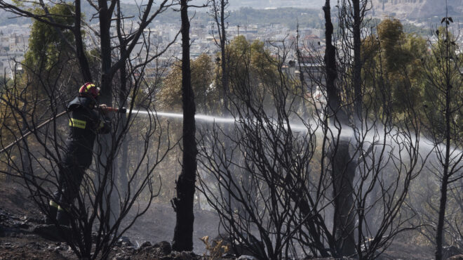 ρύθμιση-και-αναστολή-πληρωμής-εισφορ-563185147