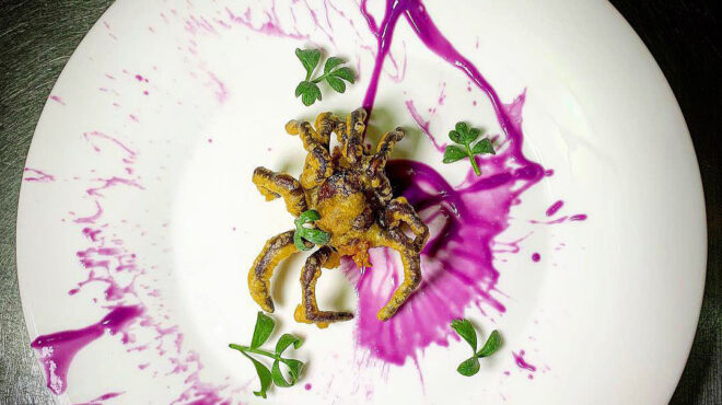 ταραντούλες-και-τζιτζίκια-εισβάλλο-563183353