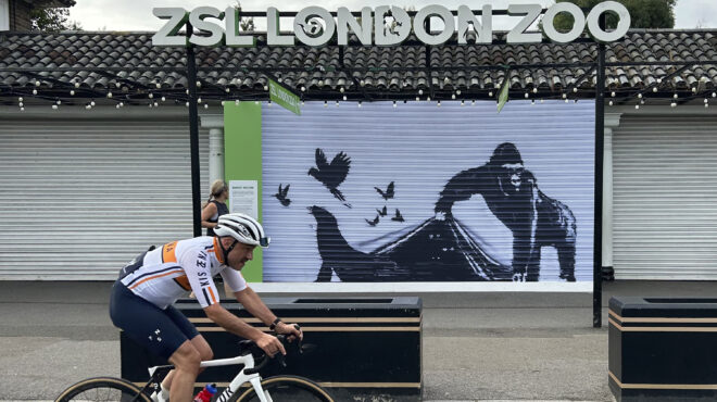 ο-ζωολογικός-κήπος-του-λονδίνου-αφαίρ-563178526