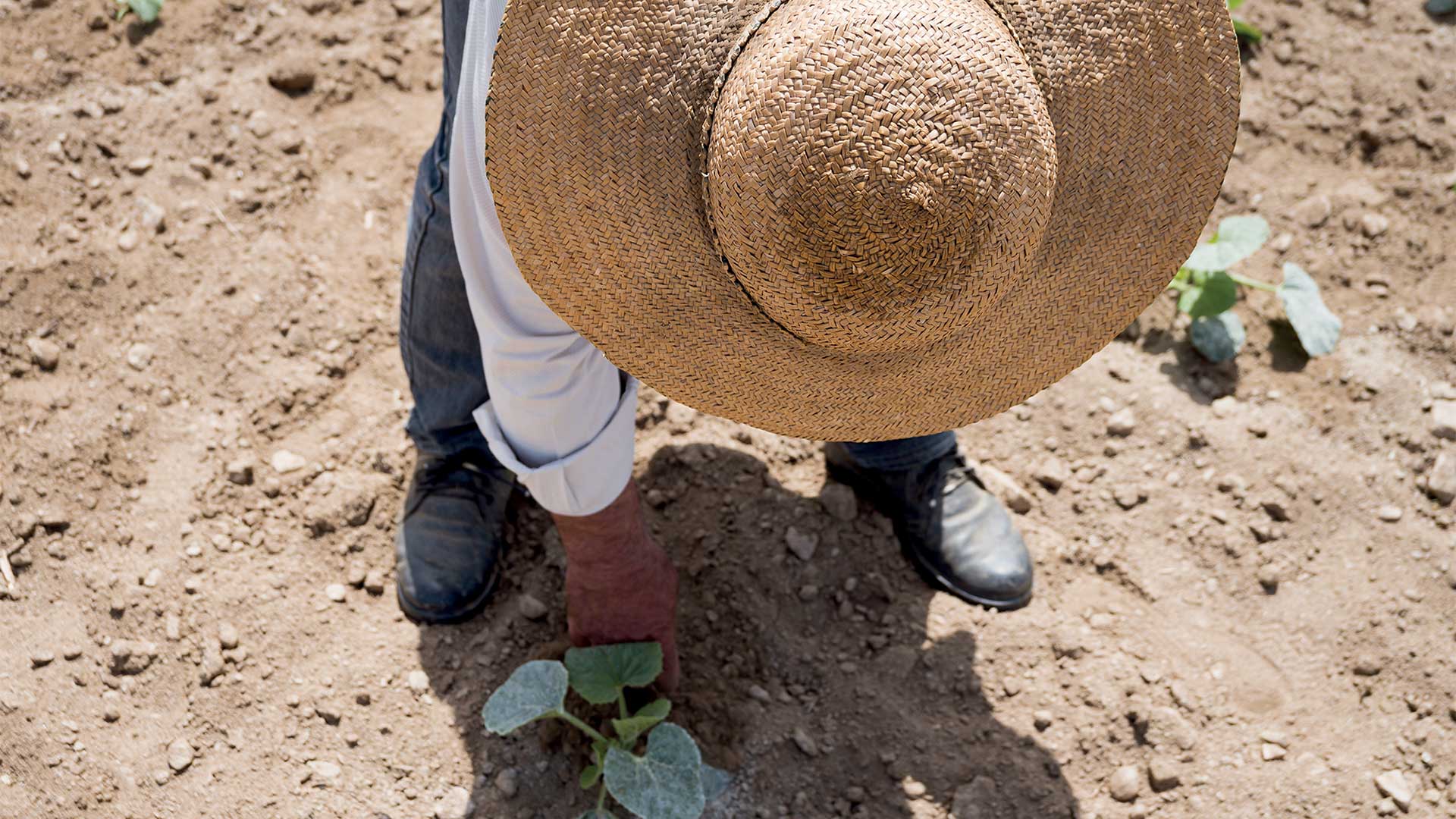 Γεύση από Κυκλάδες: Η cucina povera του Αιγαίου-10