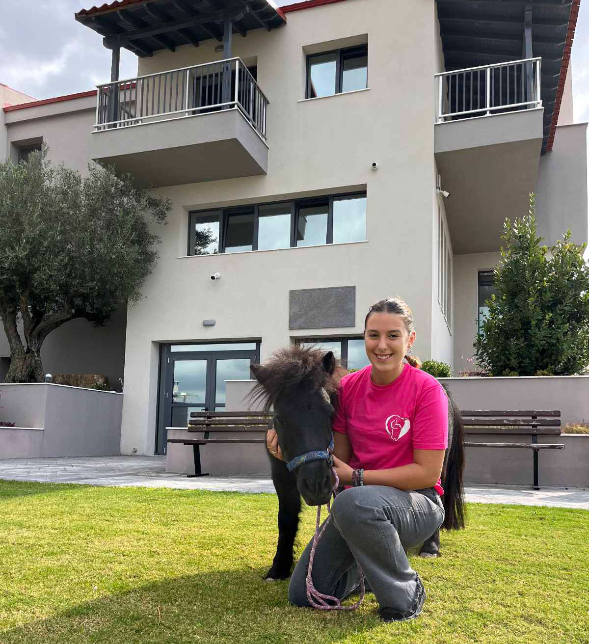 Μικρά άλογα με μεγάλη καρδιά, τα πόνυ ως θεραπευτικό μέσο-2