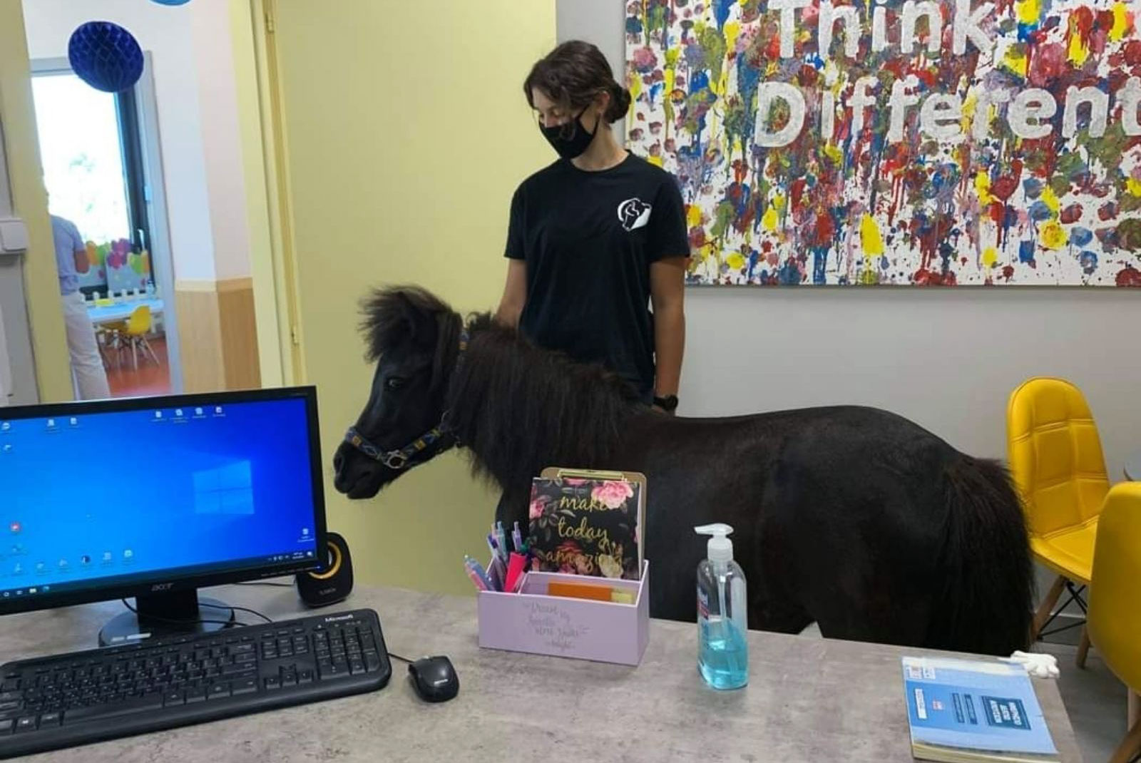 Μικρά άλογα με μεγάλη καρδιά, τα πόνυ ως θεραπευτικό μέσο-1