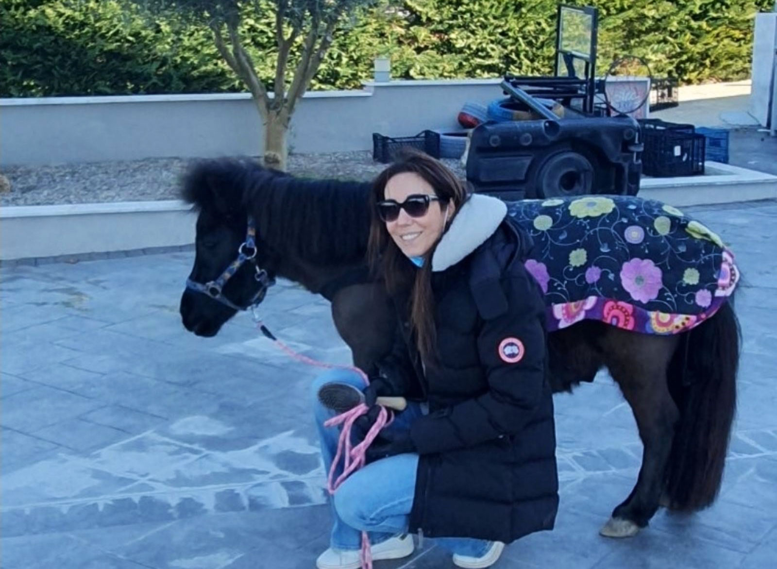 Μικρά άλογα με μεγάλη καρδιά, τα πόνυ ως θεραπευτικό μέσο-3