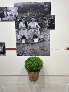 Έκθεση Φωτογραφίας στα Φιλιατρά αφιερωμένη στη γυναίκα με τη συμμετοχή του Μουσείου Τηλεπικοινωνιών του Ομίλου ΟΤΕ-2