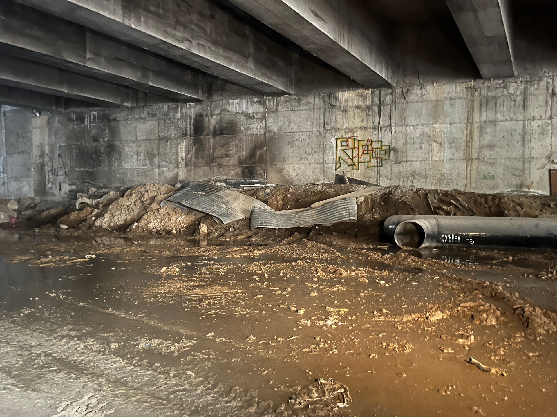 Κηφισός: Λόφοι από σκουπίδια και νεκρά ζώα-3