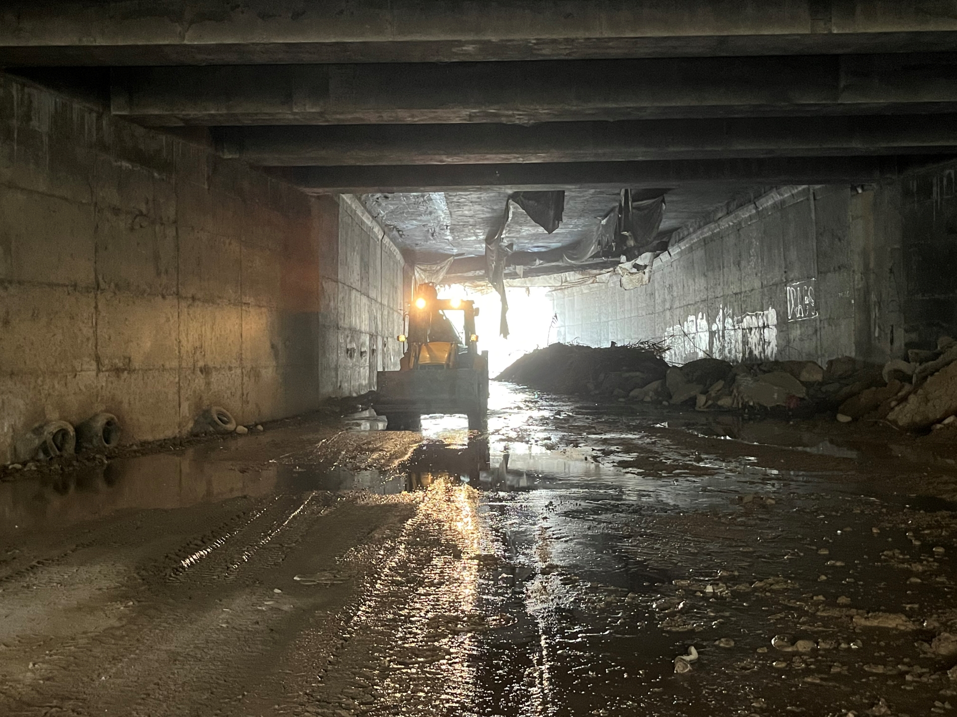 Κηφισός: Λόφοι από σκουπίδια και νεκρά ζώα-2