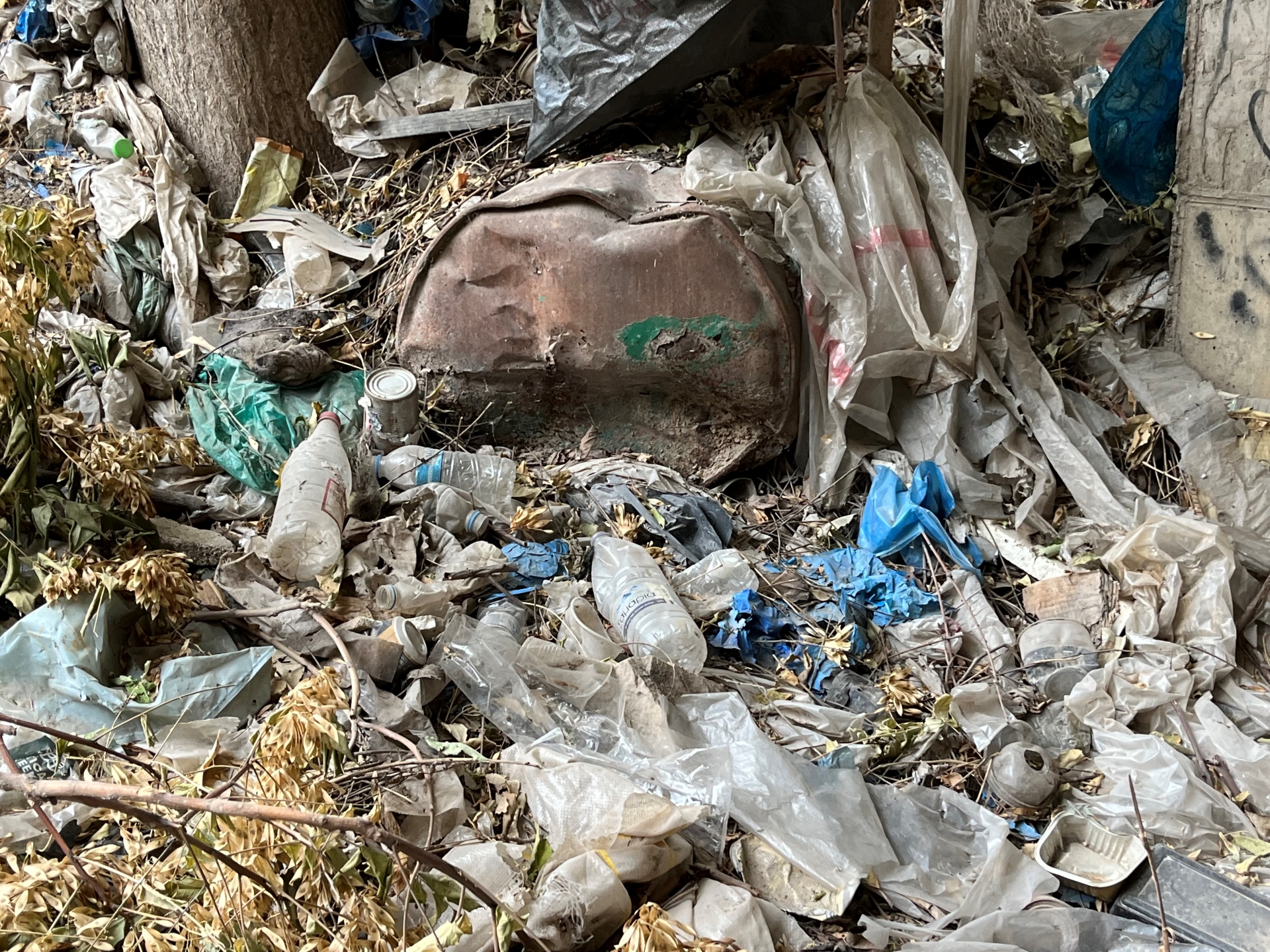 Κηφισός: Λόφοι από σκουπίδια και νεκρά ζώα-1