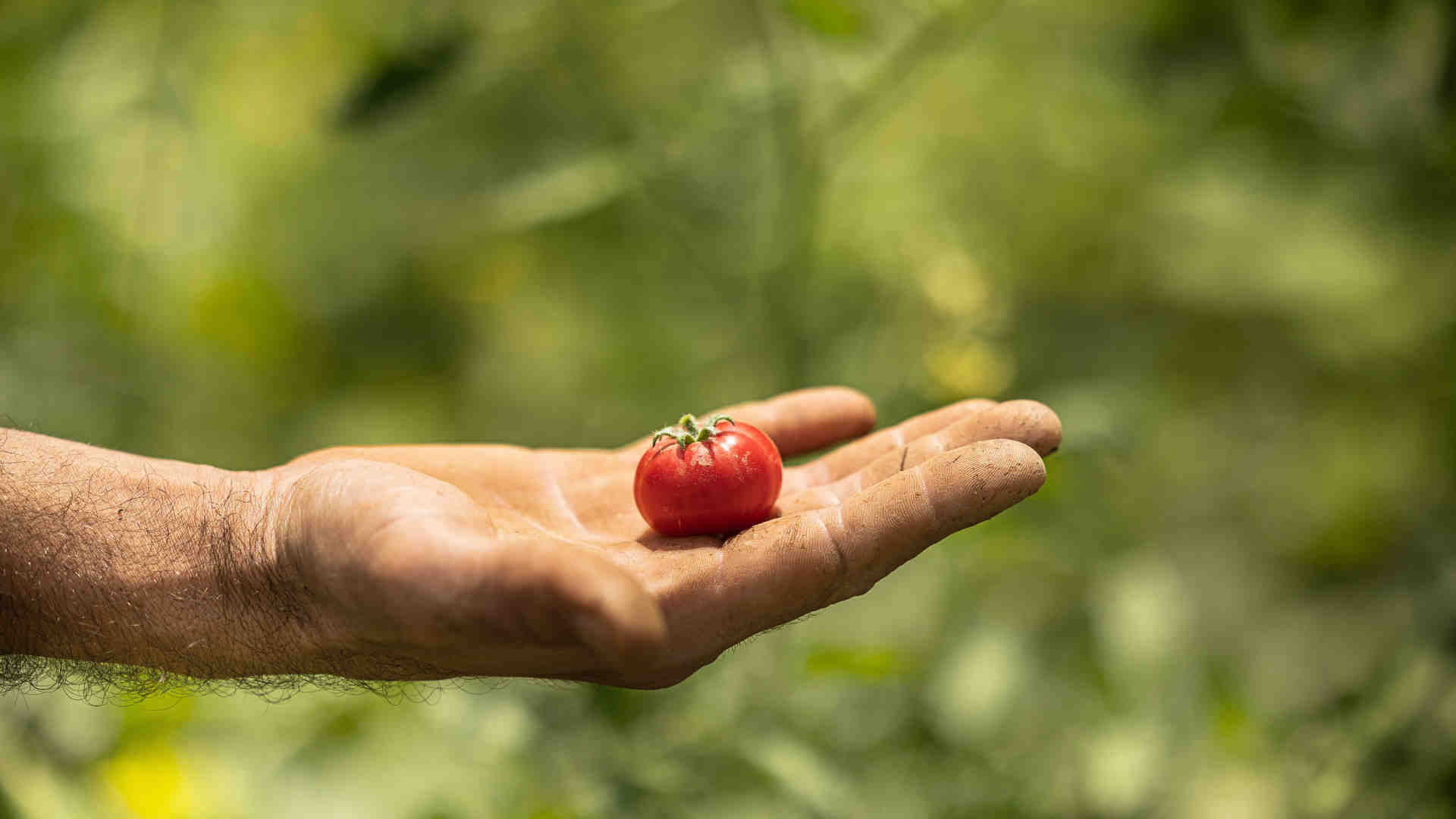 Μύλος: Ενα από τα πιο ξακουστά ψαροεστιατόρια στο Αιγαίο είναι στη Λέρο-7