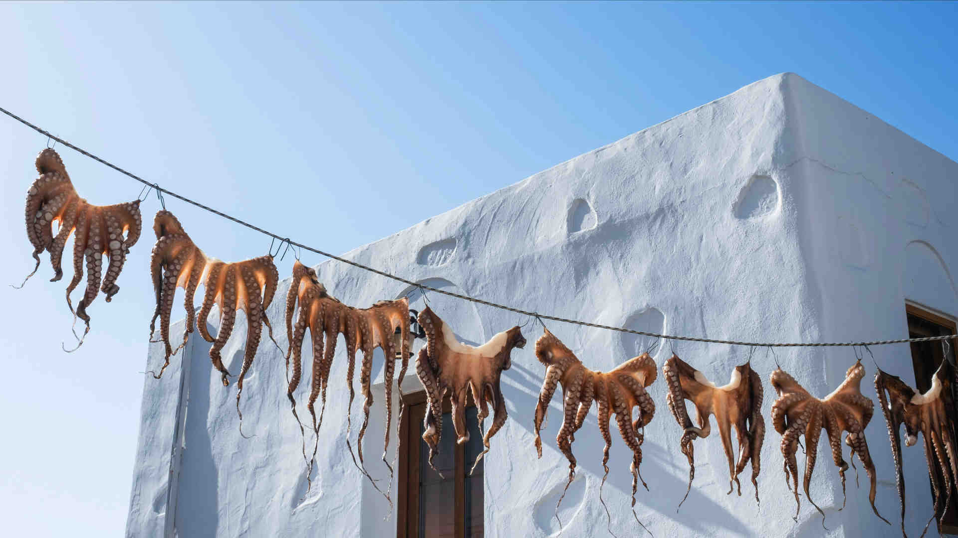 Μύλος: Ενα από τα πιο ξακουστά ψαροεστιατόρια στο Αιγαίο είναι στη Λέρο-14