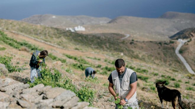 γεύση-από-κυκλάδες-η-cucina-povera-του-αιγαίου-563190157