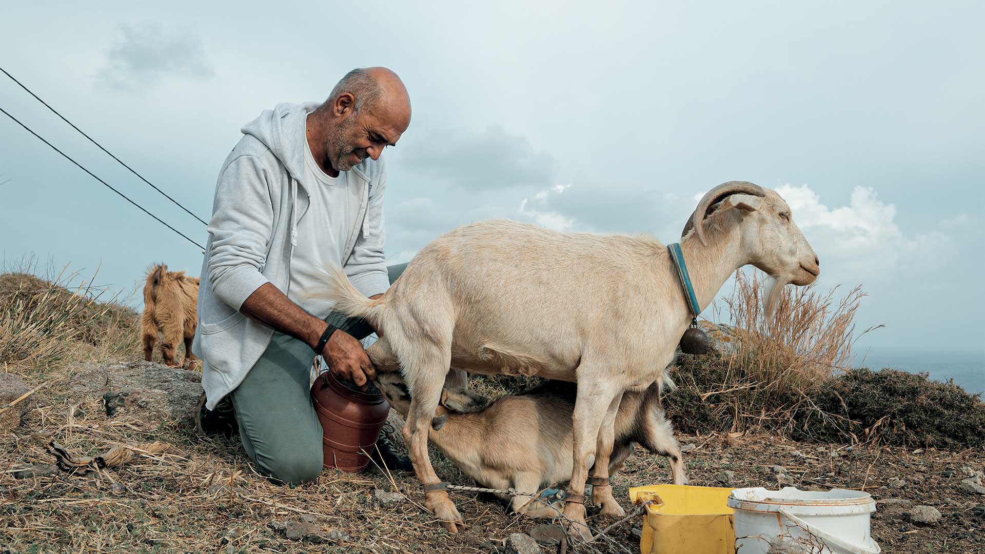 Γεύση από Κυκλάδες: Η cucina povera του Αιγαίου-4
