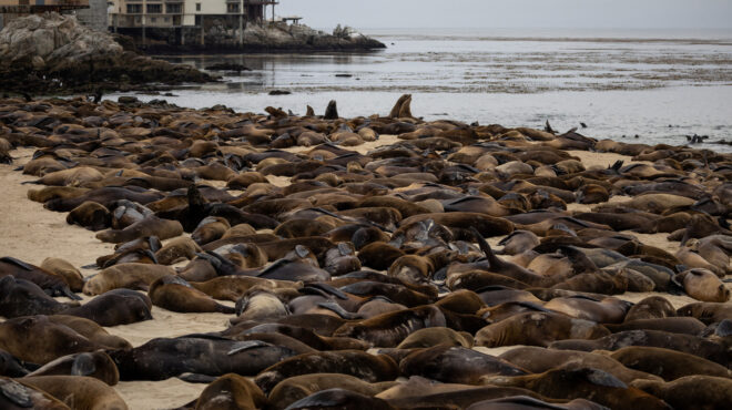 παραλία-προσωρινά-κλειστή-λόγω-κατά-563184931