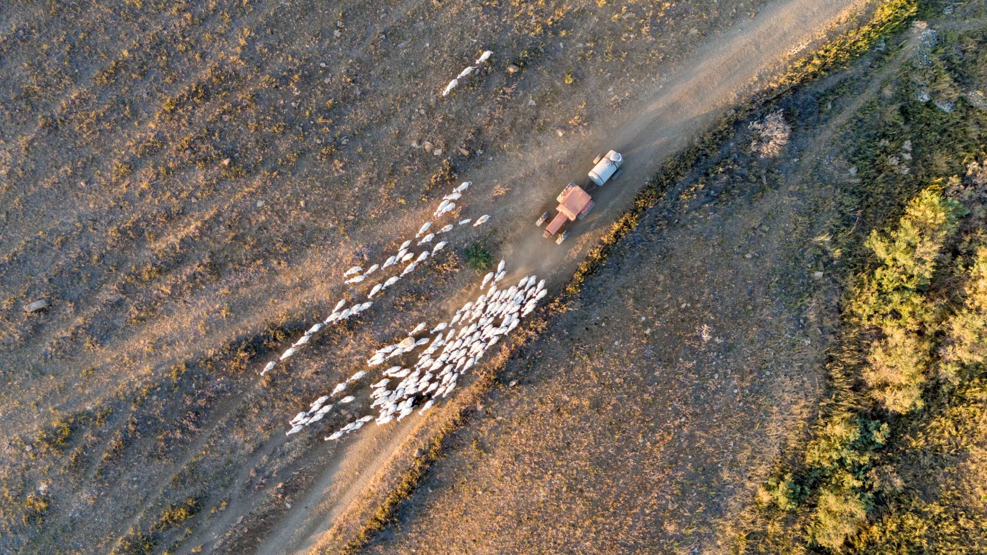 Κλιματική κρίση: Η ερημοποίηση απειλεί την αγροτική παραγωγή της Σικελίας-1