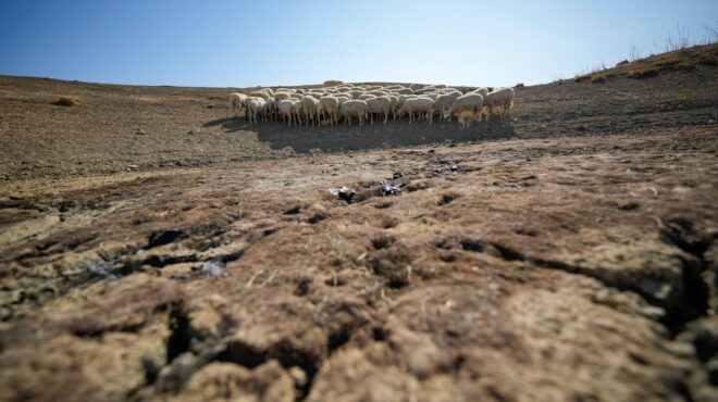 κλιματική-κρίση-η-ερημοποίηση-απειλε-563178760