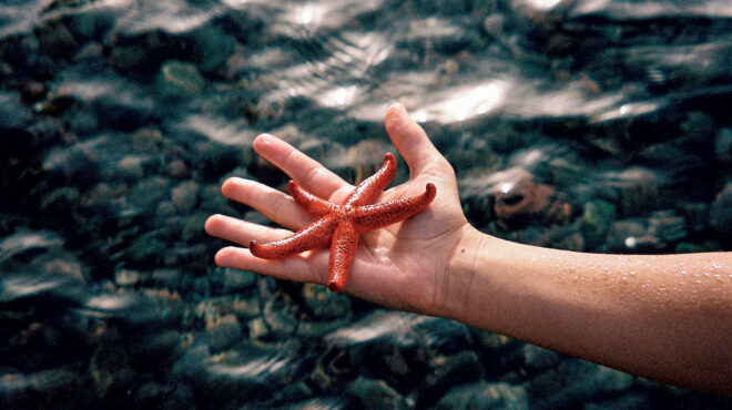 είναι-το-καλοκαίρι-πολύ-κακό-για-το-τίπ-563185399