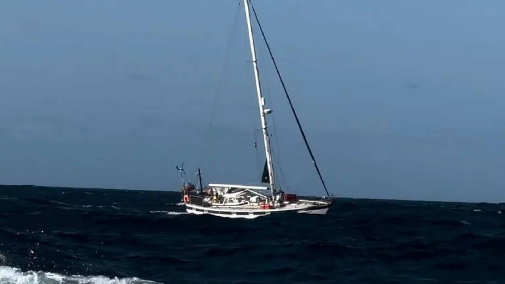 Ισπανία: Ιστιοπλοϊκό έμεινε ακυβέρνητο από «συνάντηση» με όρκες-1