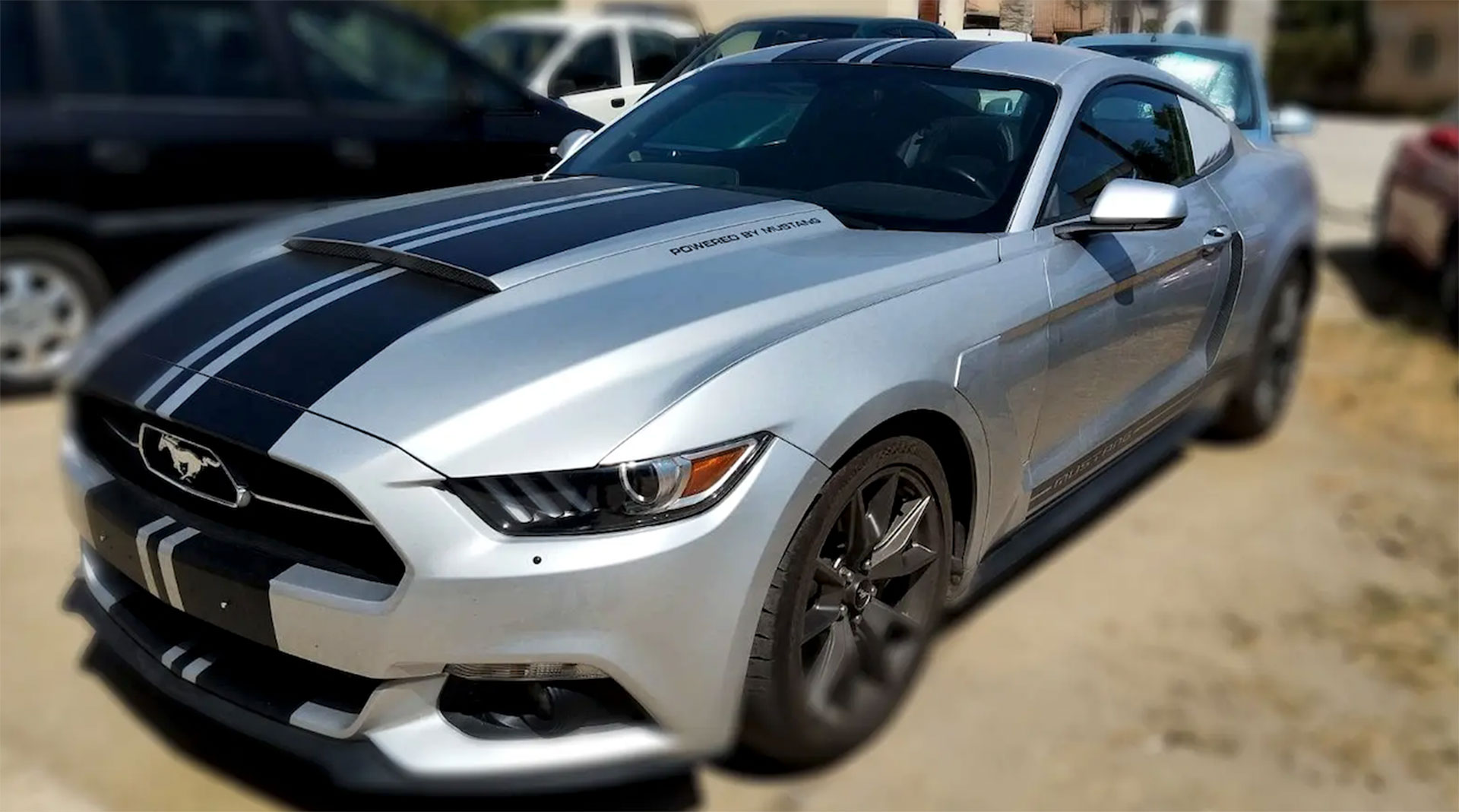 Τζια: Σύλληψη 51χρονου για ενδοοικογενειακή βία και απόπειρα φόνου-1