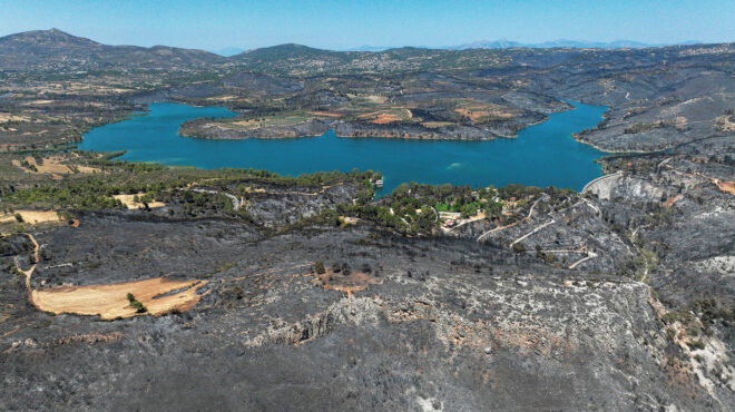 πλήγμα-για-το-περιβάλλον-η-αττική-έχασ-563174452