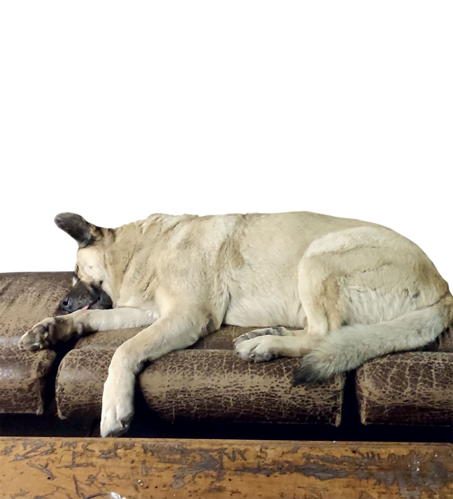 Θα έχουμε για πάντα τη Θεσσαλονίκη-3