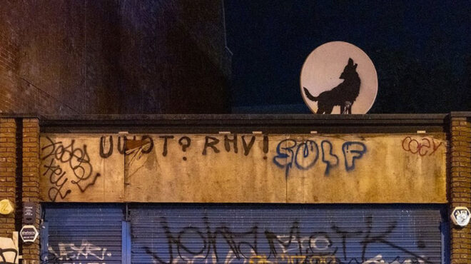 ο-ζωολογικός-κήπος-του-λονδίνου-αφαίρ-563165056