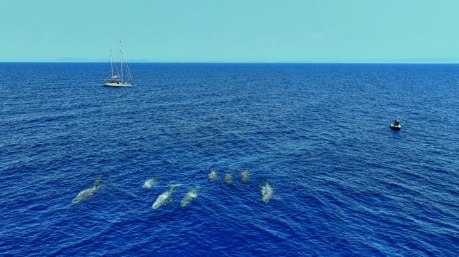 διαβάστε-στο-νέο-κ-ακολουθώντας-φυσ-563183467