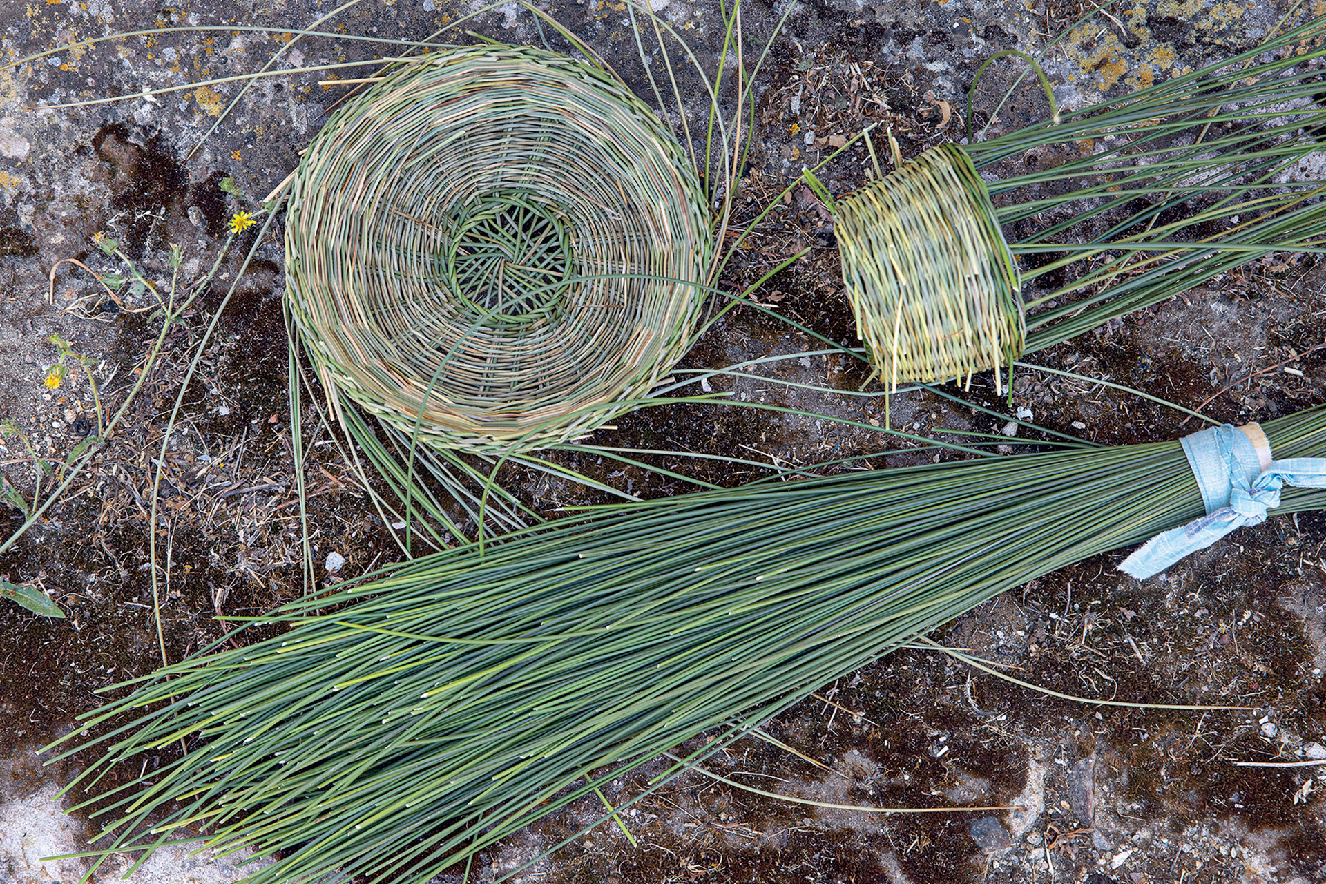 Πώς οι νέοι νησιώτες κρατούν ζωντανή την ελληνική παράδοση-3