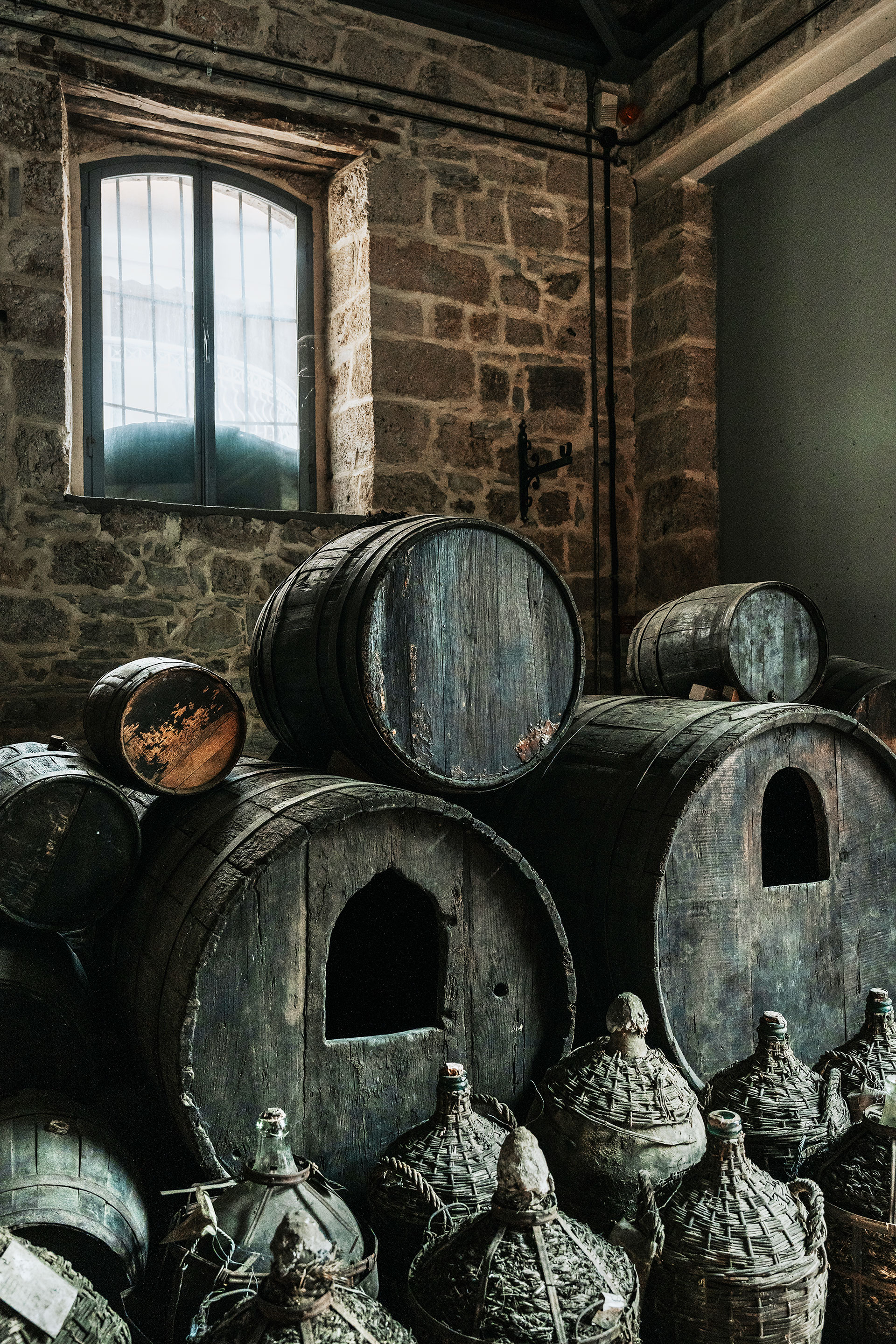 Το Ξινόμαυρο της Νάουσας: ο τόπος, οι άνθρωποι, το μέλλον της ποικιλίας-3