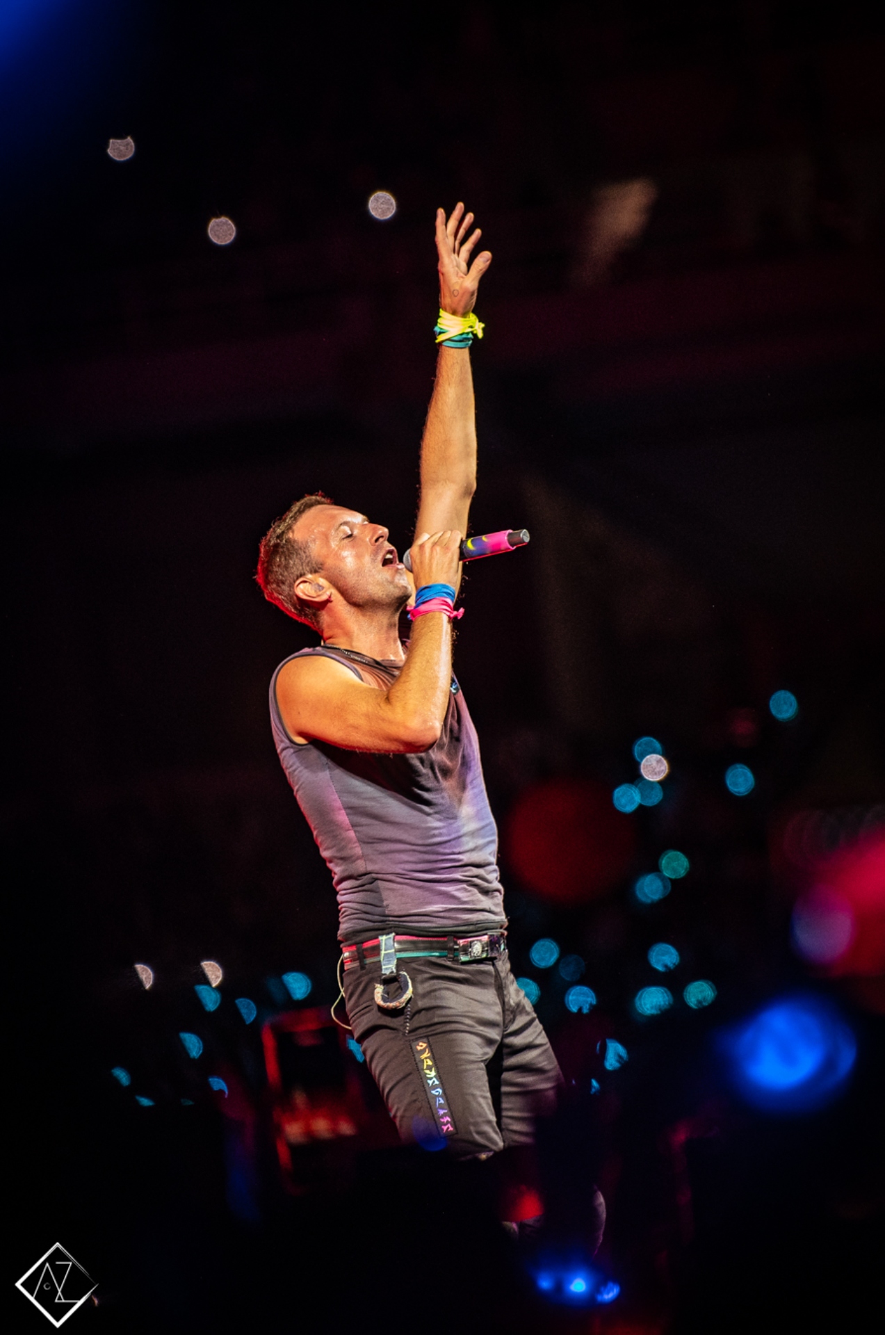 Η «βίβλος» του συναυλιακού καλοκαιριού-1