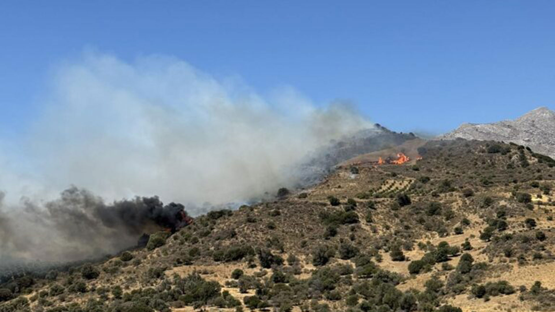 Μάχη με αναζωπυρώσεις και ανέμους στο Ρέθυμνο – Μπαράζ «112» για εκκενώσεις οικισμών-8
