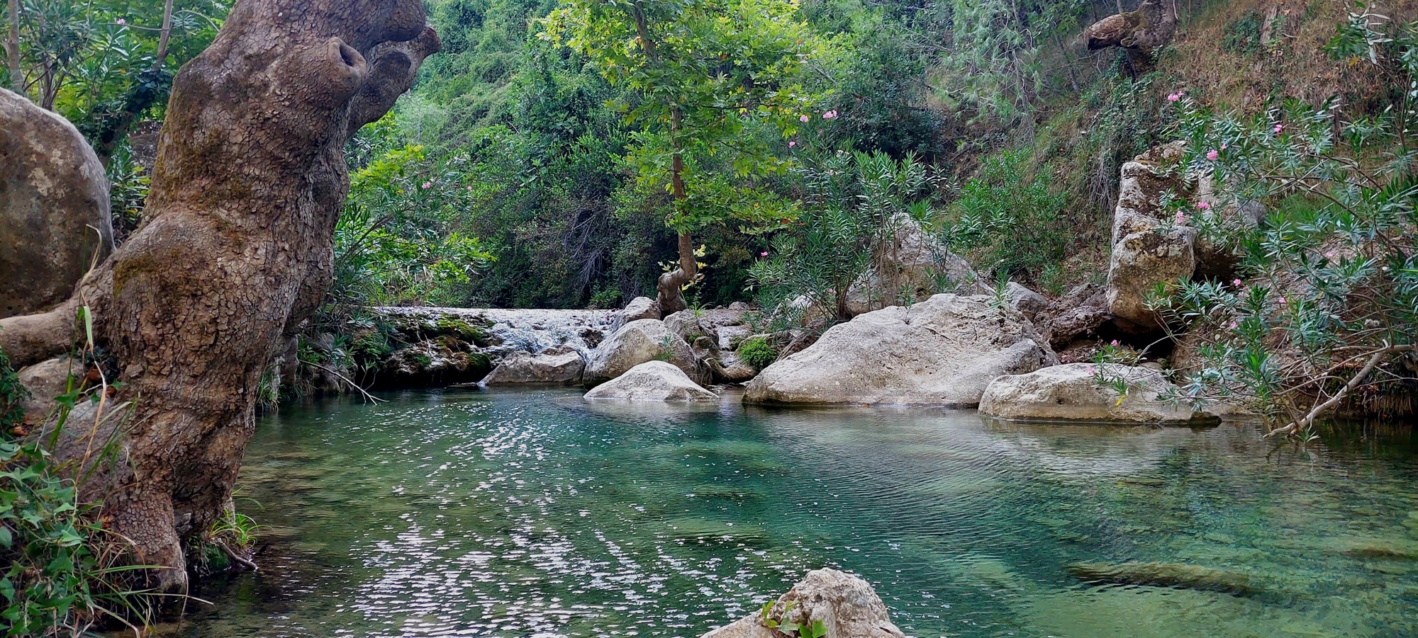 Ο χαμένος παράδεισος στα «πίσω δωμάτια» της Αττικής και η υπόσχεση για το μέλλον-3