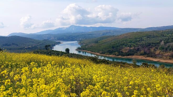 ο-χαμένος-παράδεισος-στα-πίσω-δωμάτι-563173927