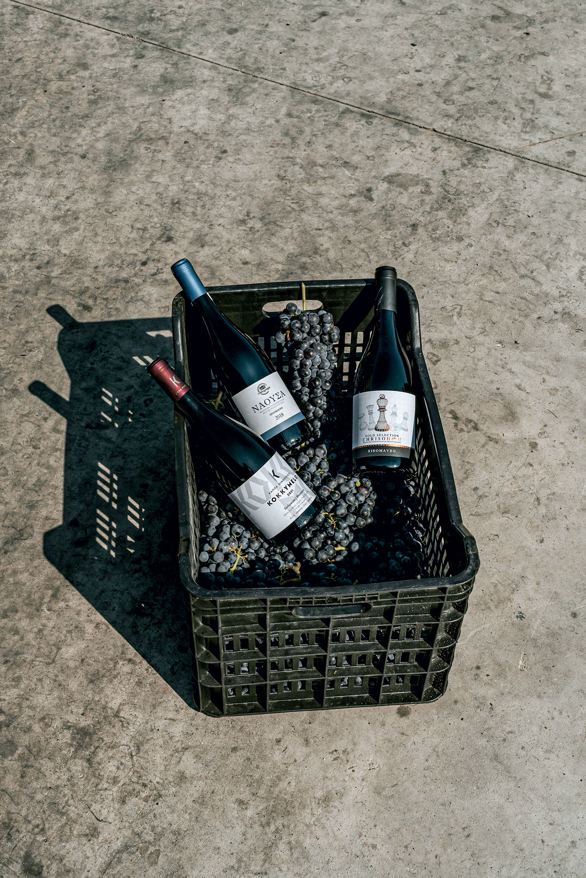 Αυτοψία: δοκιμάζουμε 25 Ξινόμαυρα στον αμπελώνα της Νάουσας-1