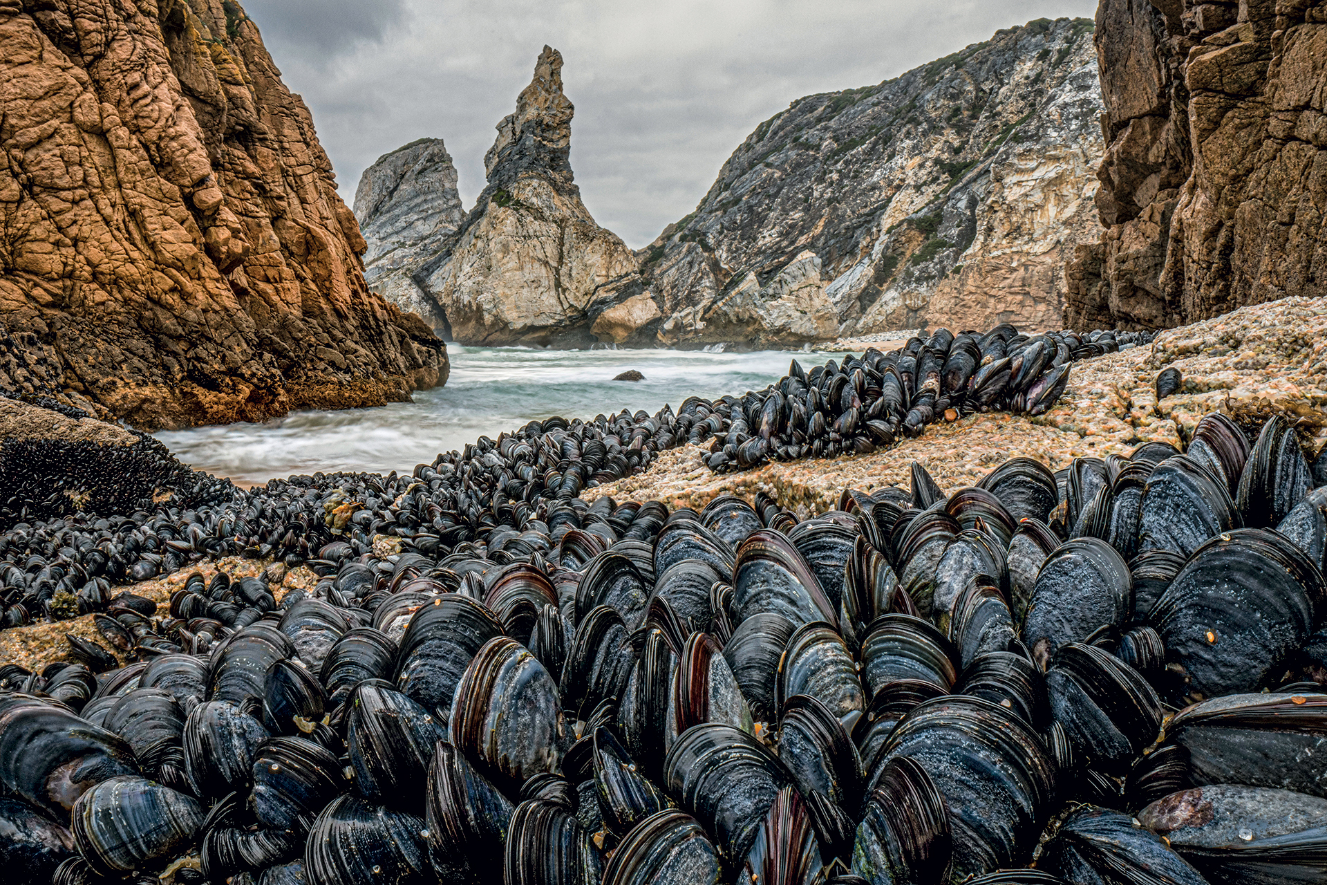 Wildlife Photographer of the Year: Οι πιο συναρπαστικές εικόνες που διεκδικούν βραβεία-2