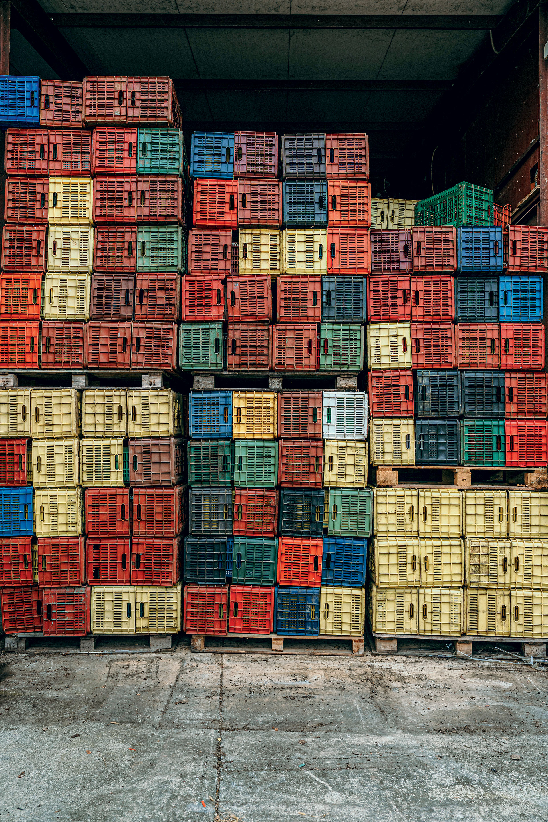 Αυτοψία: δοκιμάζουμε 25 Ξινόμαυρα στον αμπελώνα της Νάουσας-4