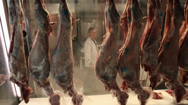 ρουμάνικα-αρνιά-εγώ-δεν-βάζω-στο-μαγα-563187091