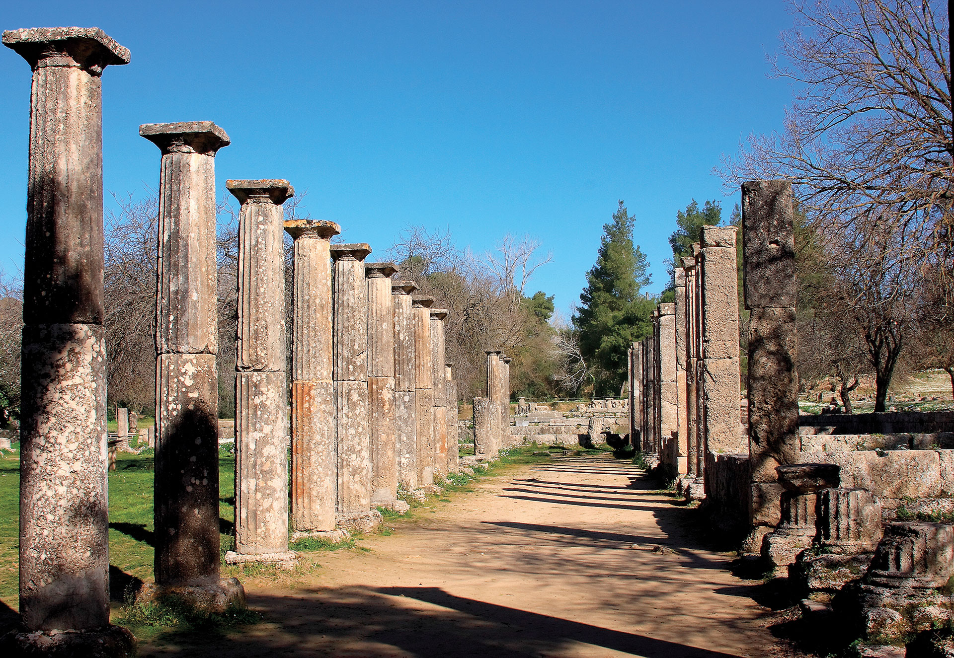 Αποθεωτική περιγραφή των ολυμπιονικών από τον Πίνδαρο σε 45 θριαμβικές ωδές-1