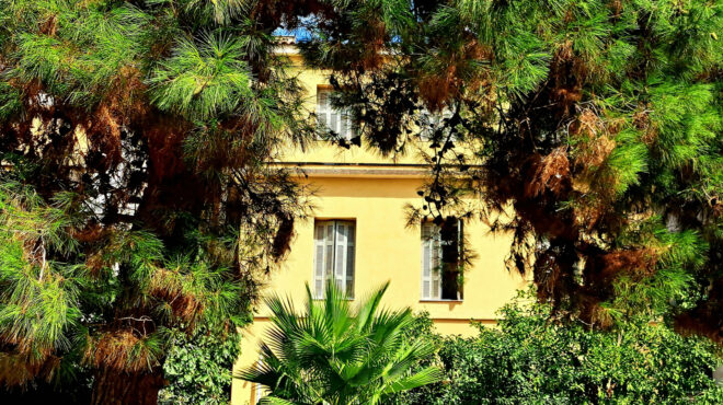 απρόσμενες-οπτικές-φυγές-στην-κυψέλη-563177824