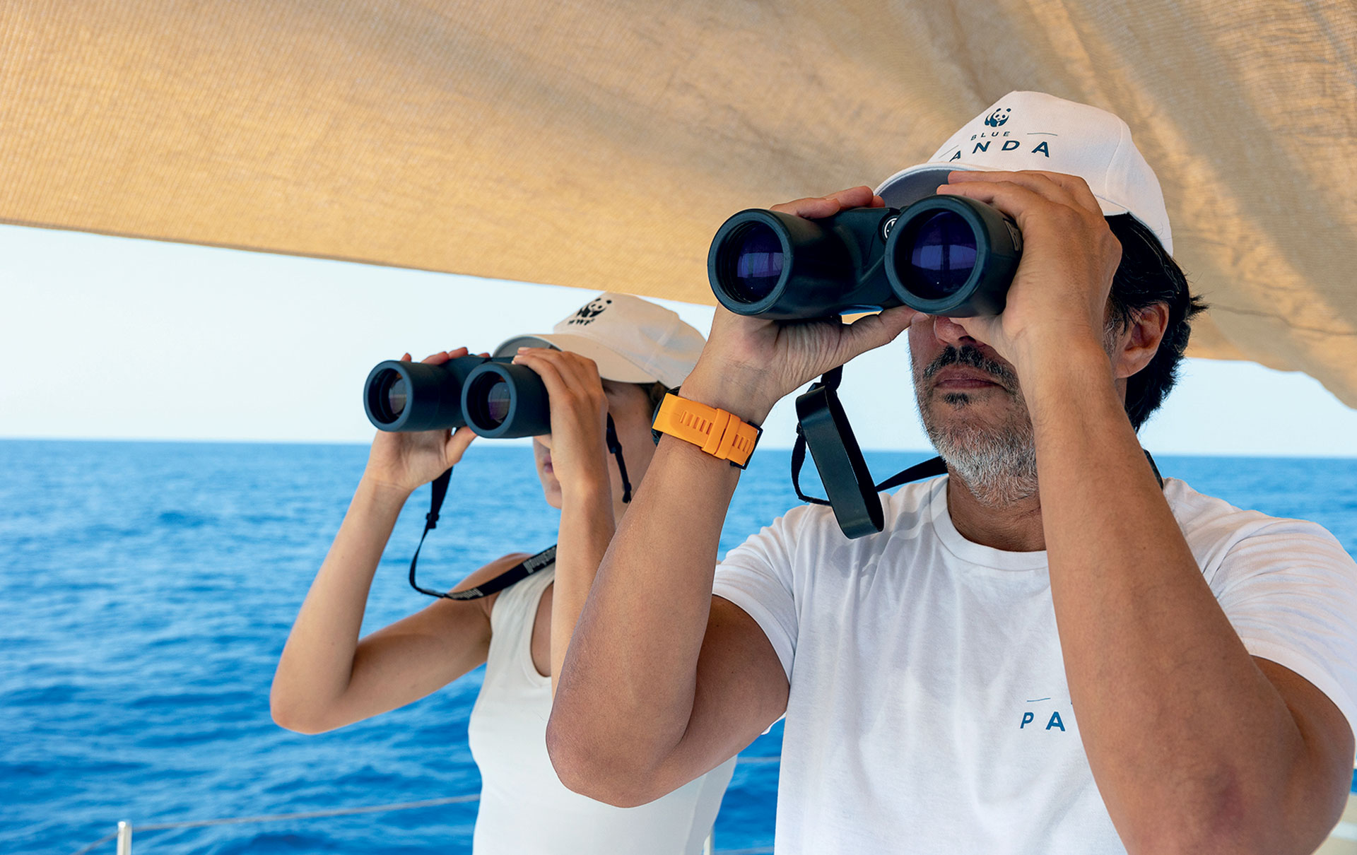 Δίπλα στους φυσητήρες, τους γίγαντες των ελληνικών θαλασσών-5