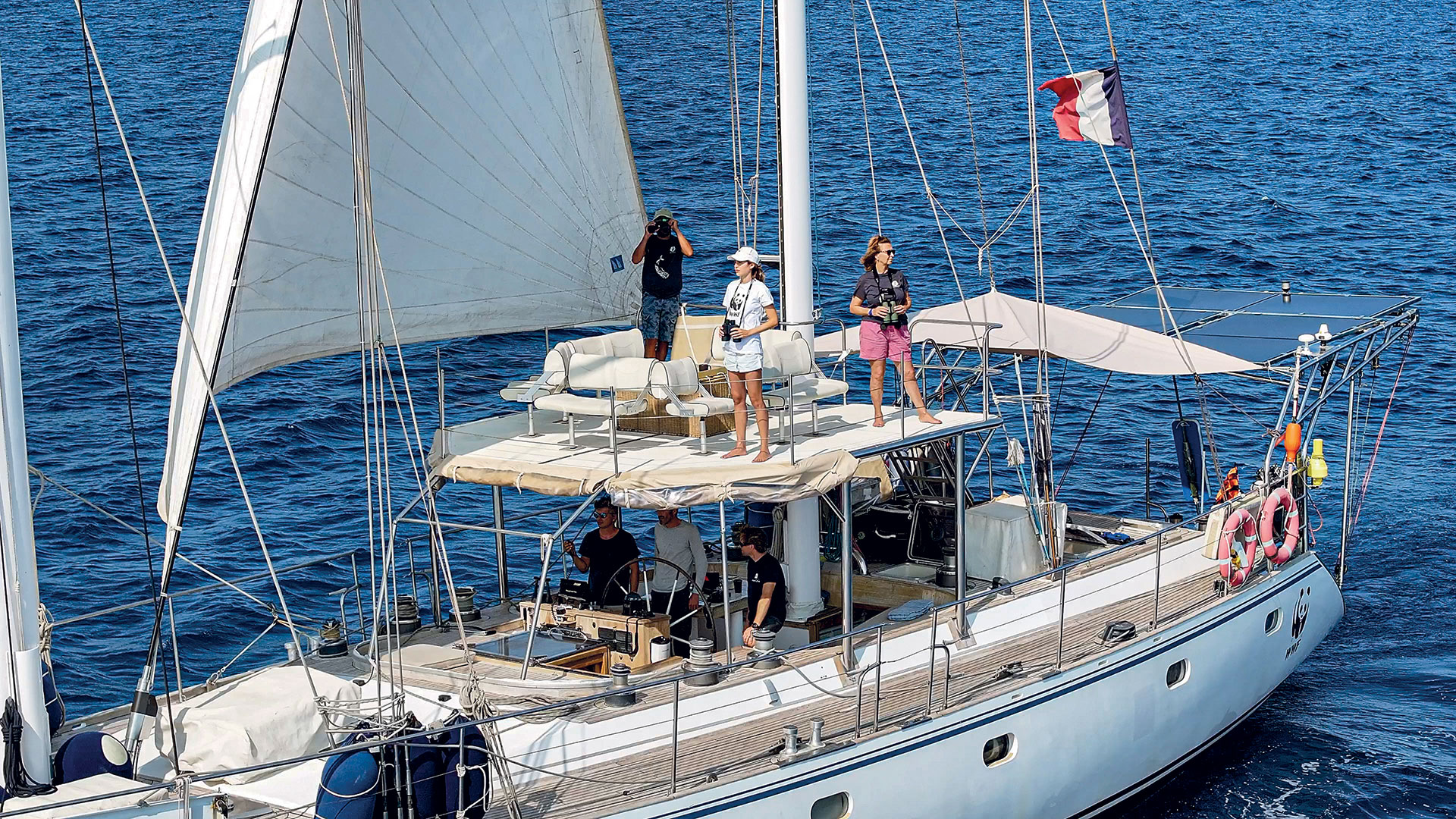 Δίπλα στους φυσητήρες, τους γίγαντες των ελληνικών θαλασσών-6