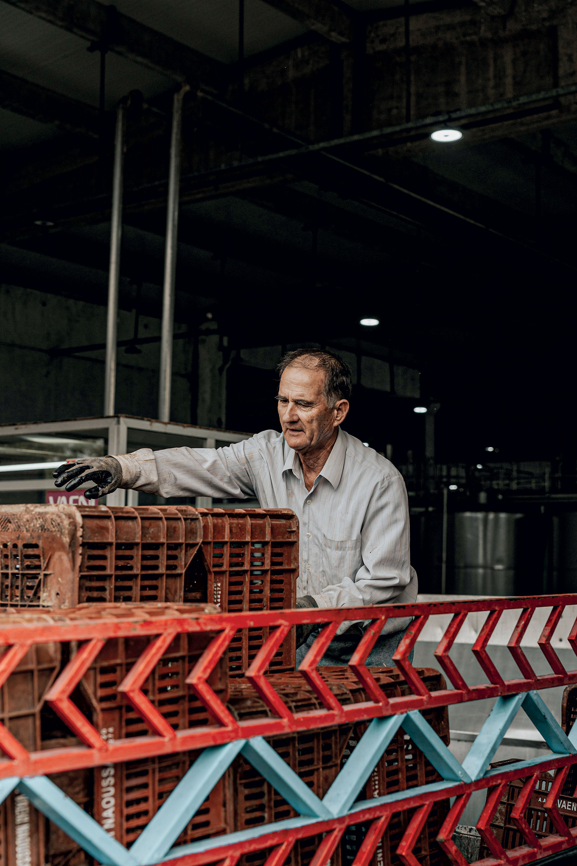 Αυτοψία: δοκιμάζουμε 25 Ξινόμαυρα στον αμπελώνα της Νάουσας-16