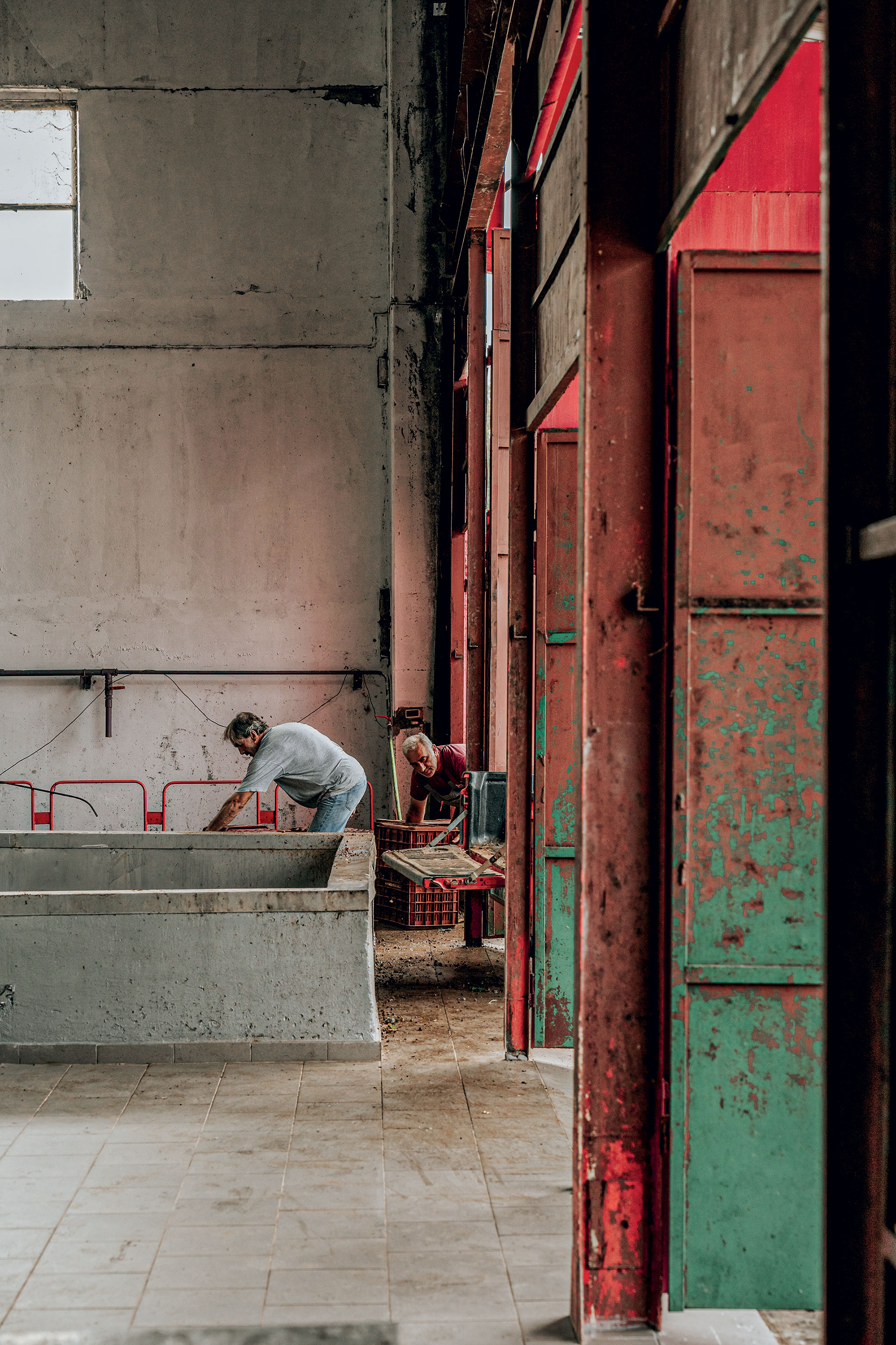 Αυτοψία: δοκιμάζουμε 25 Ξινόμαυρα στον αμπελώνα της Νάουσας-17